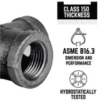 STZ Industries 1/2 in. FIP each X 1/2 in. D FIP Black Malleable Iron 90 Degree Elbow - Case of 5