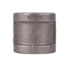 STZ Industries 3/4 in. FIP each X 3/4 in. D FIP Black Malleable Iron Coupling - Case of 5