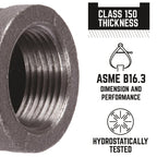 STZ Industries 3/4 in. FIP each X 3/4 in. D FIP Black Malleable Iron Coupling - Case of 5