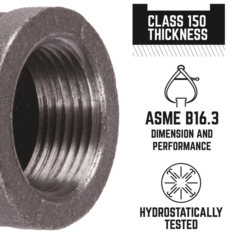 STZ Industries 3/4 in. FIP each X 3/4 in. D FIP Black Malleable Iron Coupling - Case of 5
