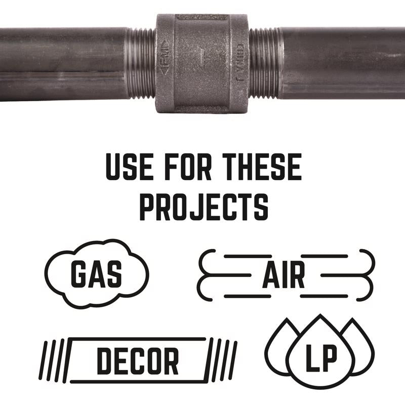 STZ Industries 3/4 in. FIP each X 3/4 in. D FIP Black Malleable Iron Coupling - Case of 5