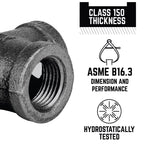 STZ Industries 1/2 in. MIP each Black Malleable Iron Plug - Case of 5