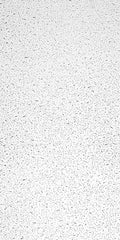 USG Ceilings Plateau 48 in. L X 24 in. W 0.56 in. Square Edge Ceiling Tile 1 pk - Case of 8
