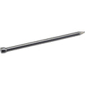 HILLMAN 6D 2 in. Finishing Polished Steel Nail Large Head - Case of 6