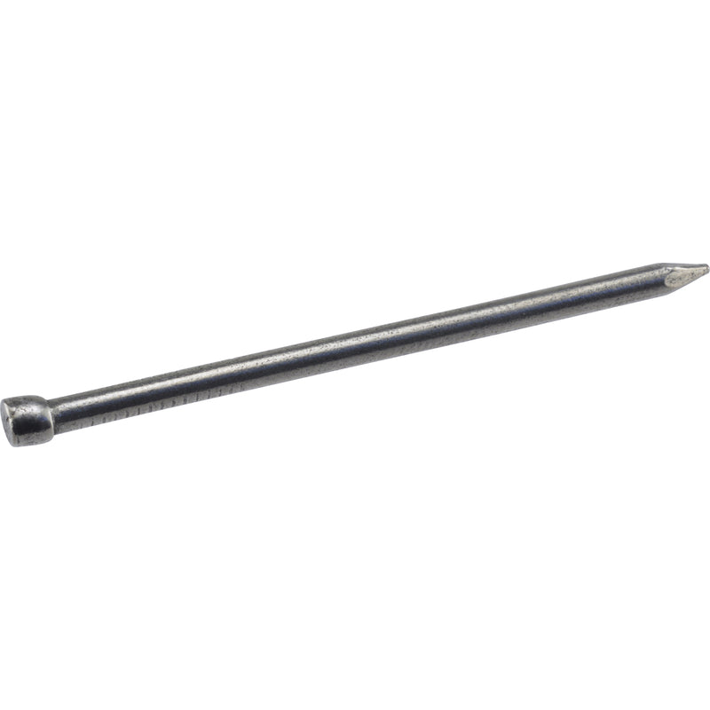 HILLMAN 6D 2 in. Finishing Polished Steel Nail Large Head - Case of 6