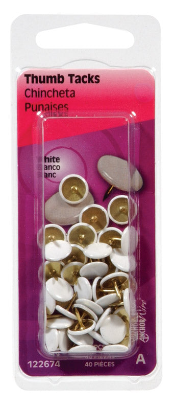 HILLMAN 5/16 in. L White Steel Thumb Tacks 40 pk - Case of 6
