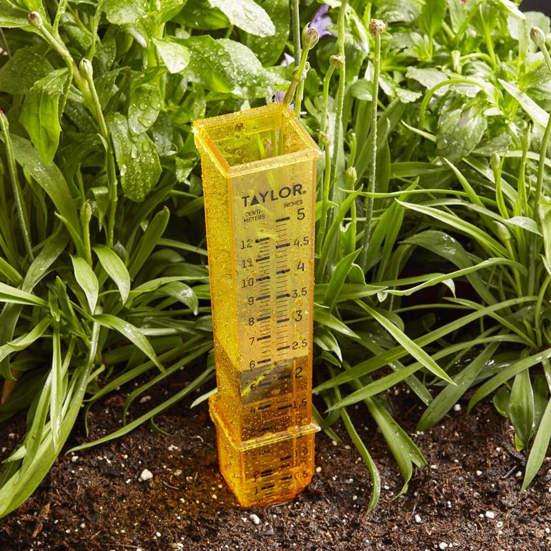 Taylor Square Rain Gauge Ground 1.97 in. W X 1.77 in. L