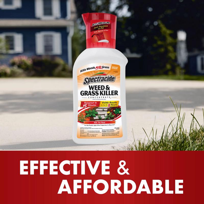 Spectracide Weed and Grass Killer Concentrate 32 oz