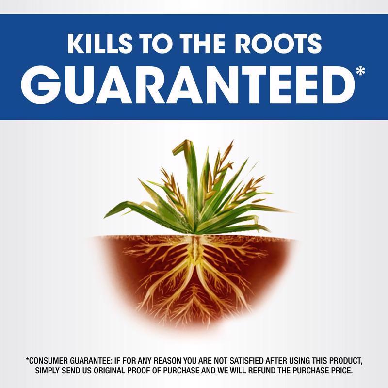 Roundup Weed and Grass Killer RTU Liquid 24 oz - Case of 6