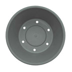 Bloem Terra 5.5 in. H X 6.5 in. W X 4.5 in. D Plastic Traditional Planter Basil