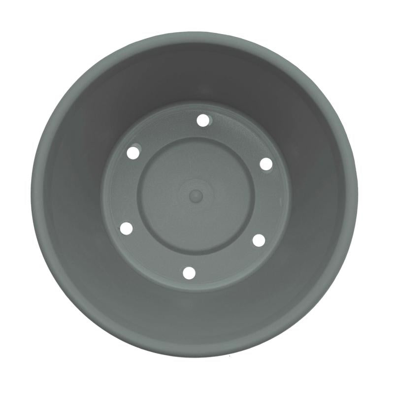 Bloem Terra 5.5 in. H X 6.5 in. W X 4.5 in. D Plastic Traditional Planter Basil