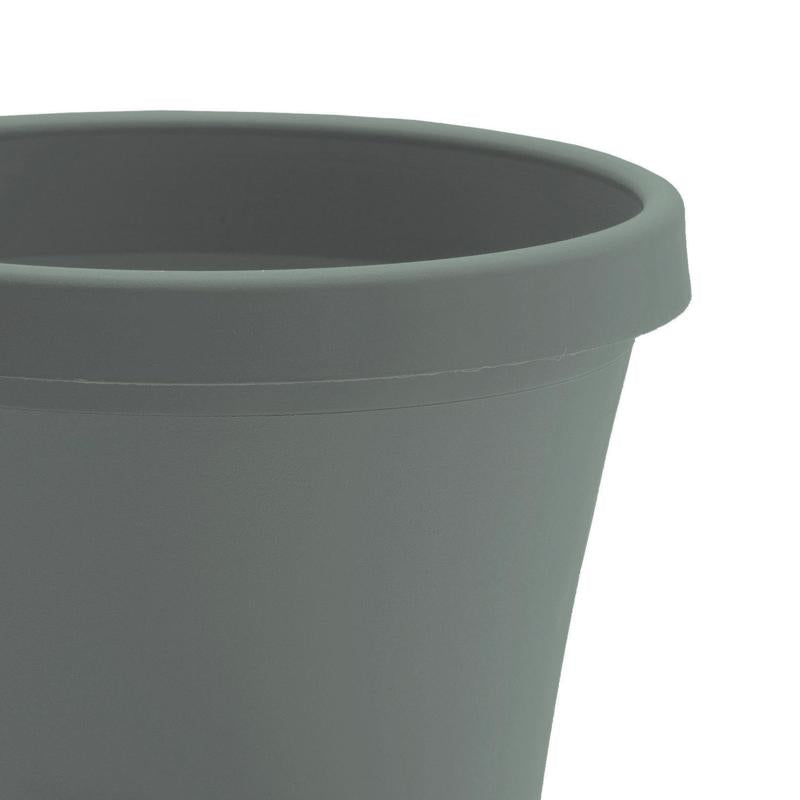 Bloem Terra 5.5 in. H X 6.5 in. W X 4.5 in. D Plastic Traditional Planter Basil
