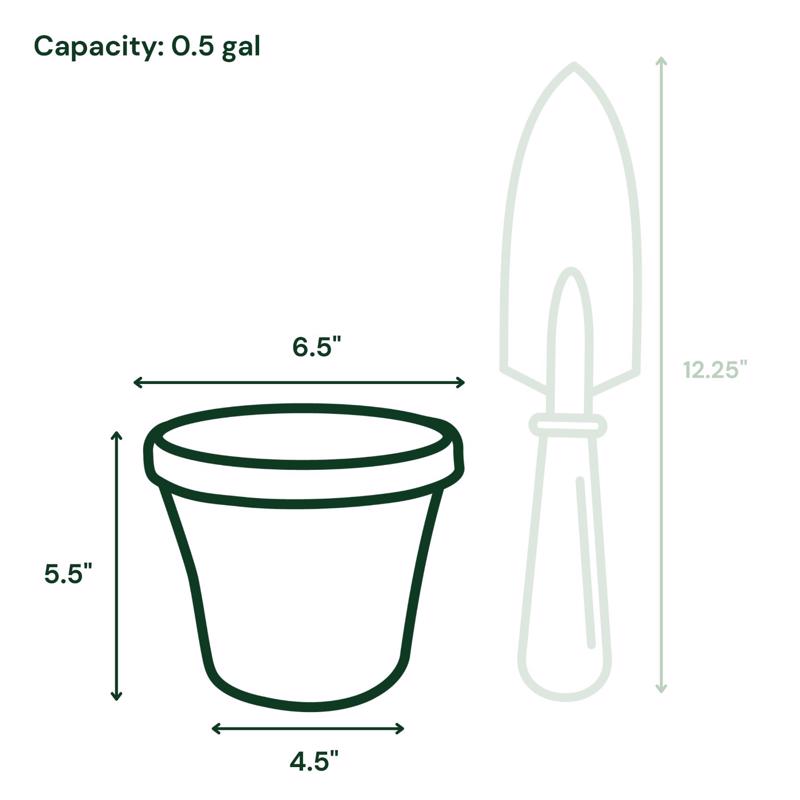 Bloem Terra 5.5 in. H X 6.5 in. W X 4.5 in. D Plastic Traditional Planter Basil