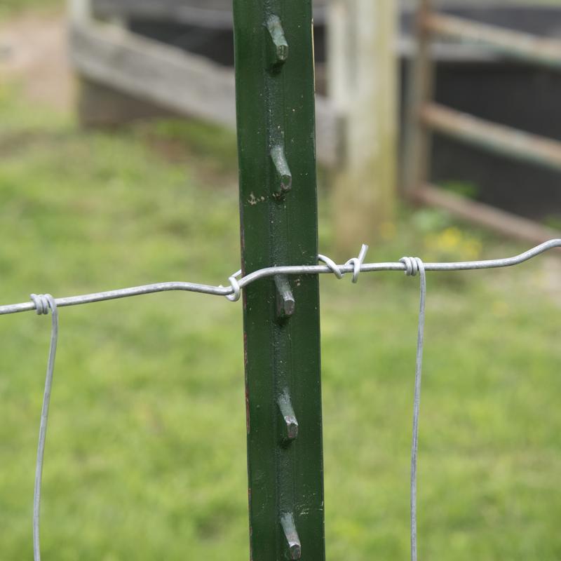 FarmGard 6.5 ft. H Rail Steel / Billet Studded T-Post - Case of 5