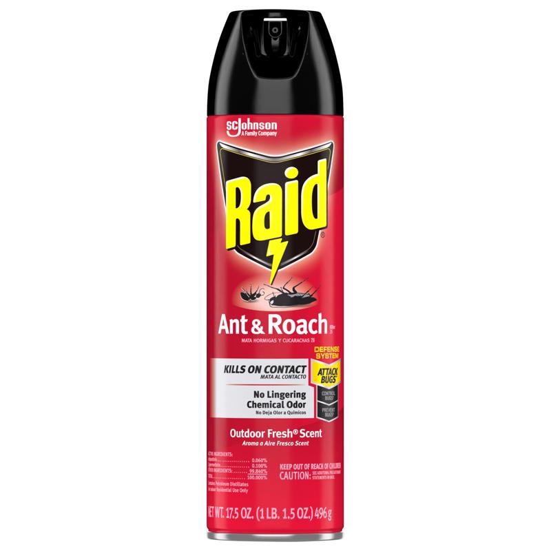 Raid Insect Killer Aerosol 17.5 oz - Case of 12