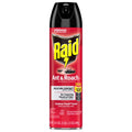 Raid Insect Killer Aerosol 17.5 oz - Case of 12