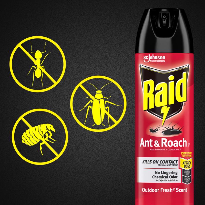Raid Insect Killer Aerosol 17.5 oz - Case of 12