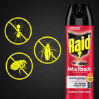 Raid Insect Killer Aerosol 17.5 oz - Case of 12