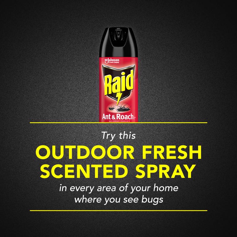 Raid Insect Killer Aerosol 17.5 oz - Case of 12