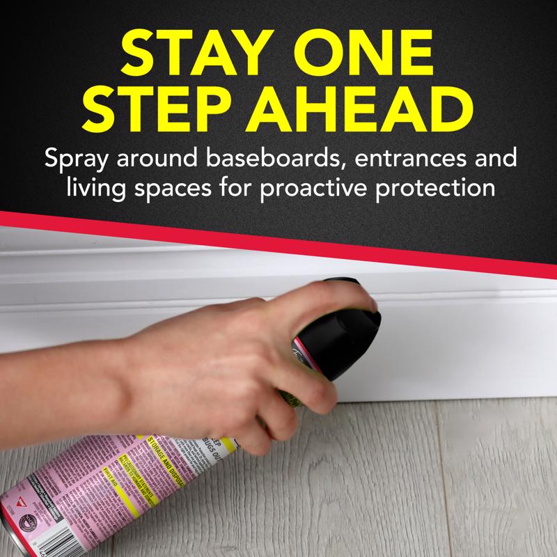 Raid Insect Killer Aerosol 17.5 oz - Case of 12
