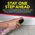 Raid Insect Killer Aerosol 17.5 oz - Case of 12