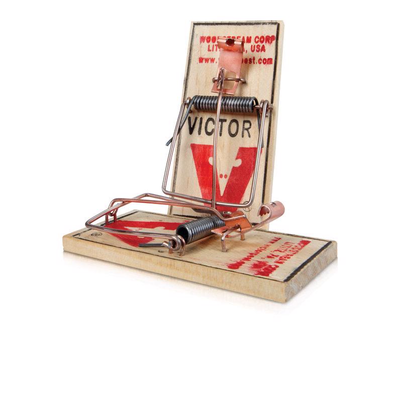 Victor Small Snap Trap For Mice 2 pk - Case of 36