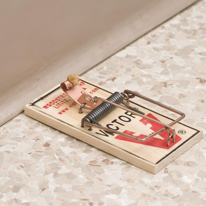 Victor Small Snap Trap For Mice 2 pk - Case of 36