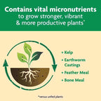 Miracle-Gro Shake 'n Feed Granules Plant Food 4.5 lb