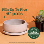 Miracle-Gro Cacti, Citrus and Palm Potting Mix 8 qt