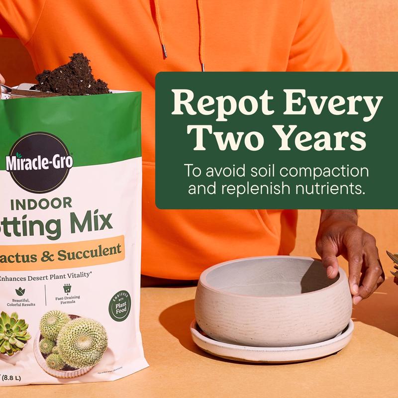 Miracle-Gro Cacti, Citrus and Palm Potting Mix 8 qt