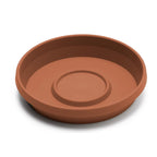 Bloem Terra 1.5 in. H X 7.5 in. W X 6.5 in. D Resin Traditional Plant Saucer Terra Cotta