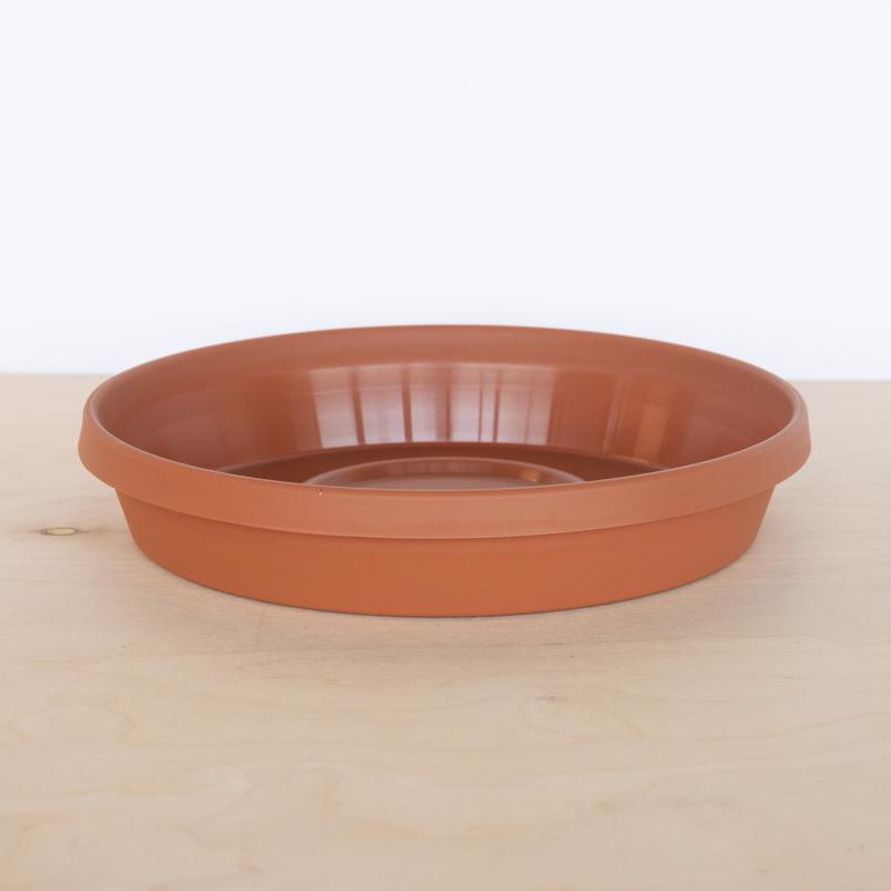 Bloem Terra 1.5 in. H X 7.5 in. W X 6.5 in. D Resin Traditional Plant Saucer Terra Cotta