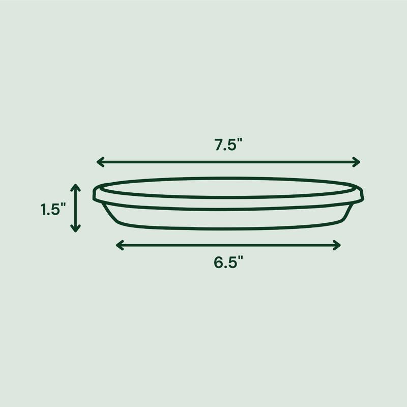 Bloem Terra 1.5 in. H X 7.5 in. W X 6.5 in. D Resin Traditional Plant Saucer Terra Cotta