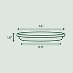 Bloem Terra 1.5 in. H X 7.5 in. W X 6.5 in. D Resin Traditional Plant Saucer Terra Cotta