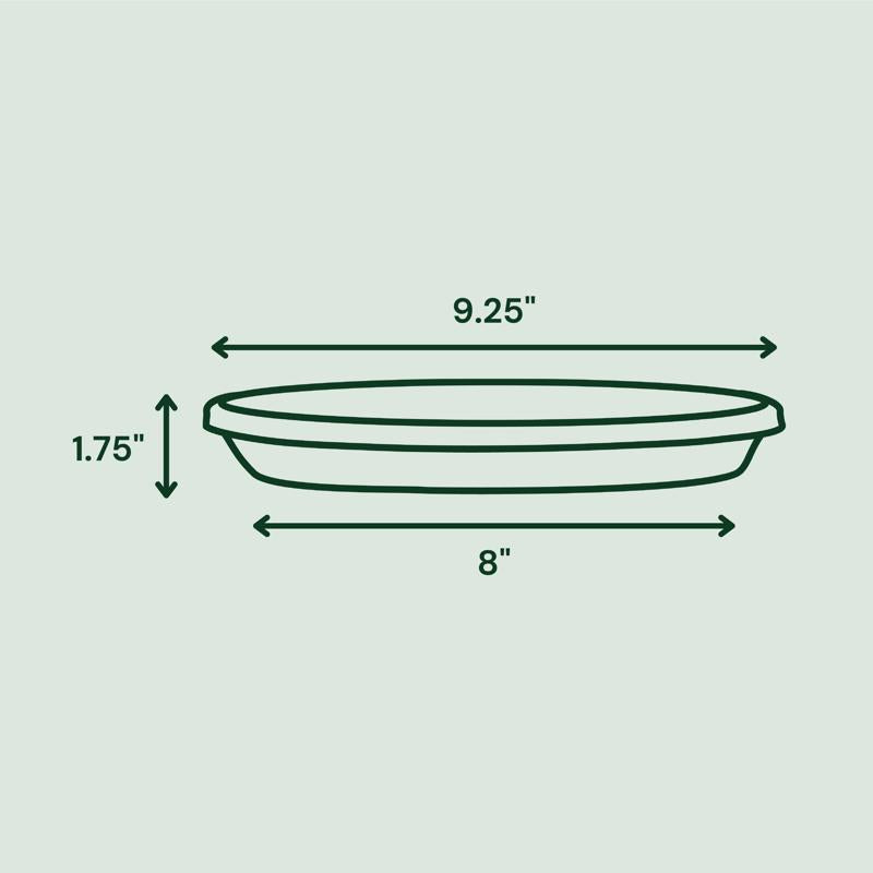 Bloem Terra 1.75 in. H X 8 in. W X 9.25 in. D Resin Traditional Plant Saucer Terra Cotta