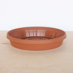 Bloem Terra 2 in. H X 9.5 in. W X 11.25 in. D Resin Traditional Plant Saucer Terra Cotta