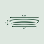 Bloem Terra 2 in. H X 9.5 in. W X 11.25 in. D Resin Traditional Plant Saucer Terra Cotta