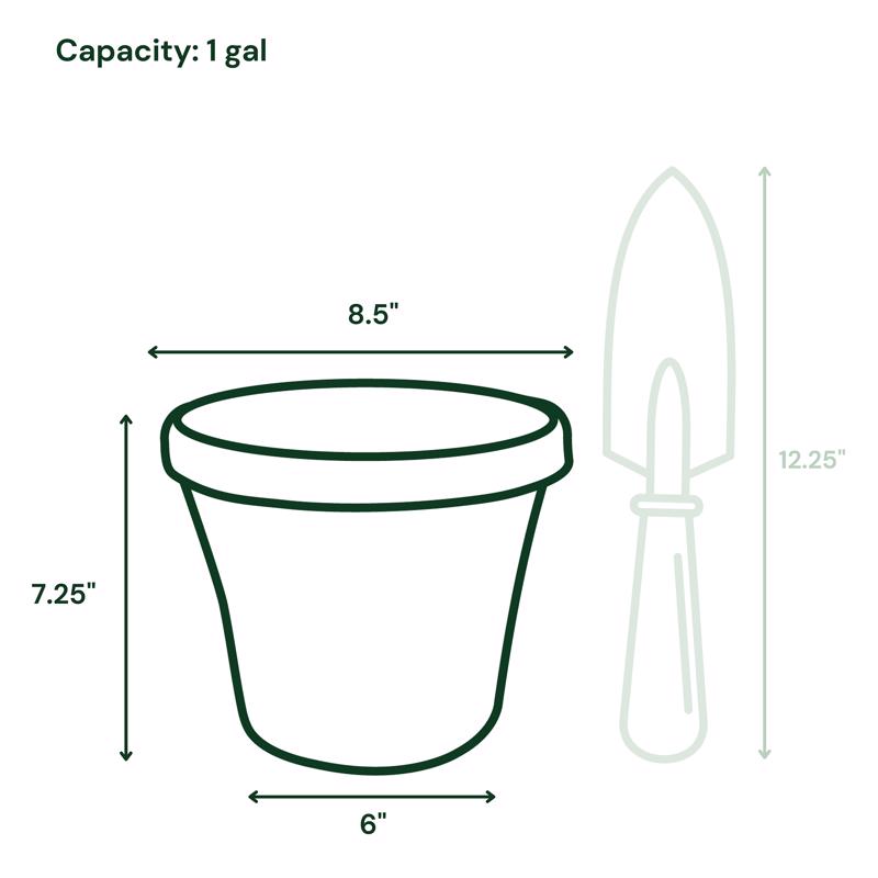 Bloem Terra 7.25 in. H X 6 in. W X 8.5 in. D Resin Traditional Planter Terra Cotta