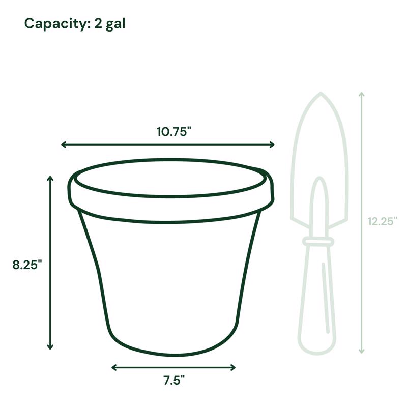 Bloem Terra 8.25 in. H X 7.5 in. W X 10.75 in. D Resin Traditional Planter Terra Cotta