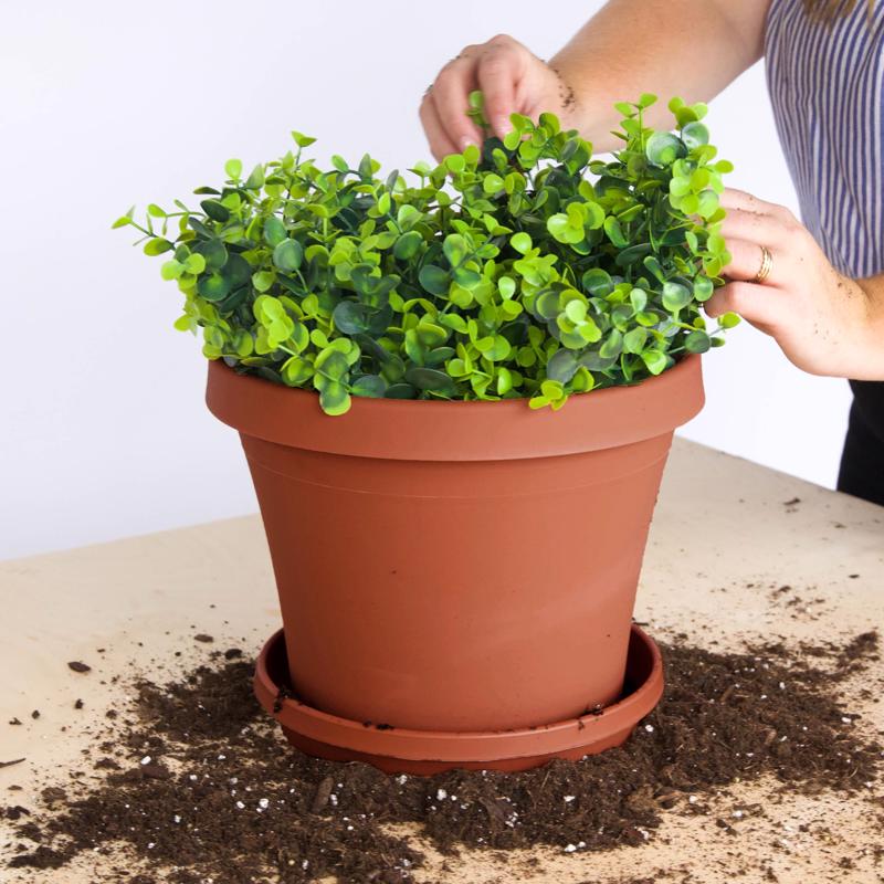 Bloem Terra 8.25 in. H X 7.5 in. W X 10.75 in. D Resin Traditional Planter Terra Cotta