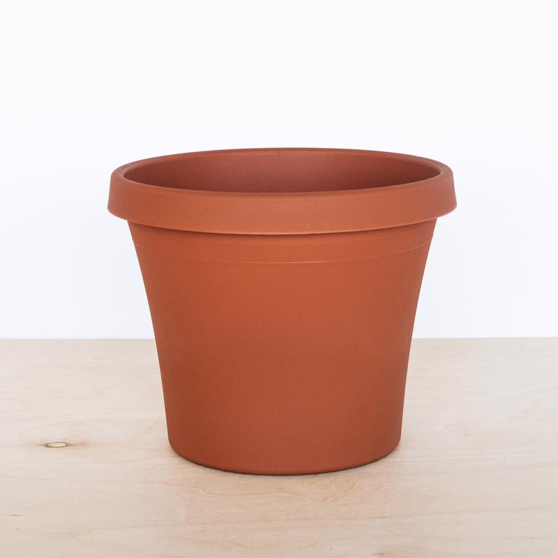 Bloem Terra 12.75 in. H X 10.25 in. W X 15 in. D Resin Traditional Planter Terra Cotta