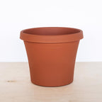 Bloem Terra 12.75 in. H X 10.25 in. W X 15 in. D Resin Traditional Planter Terra Cotta