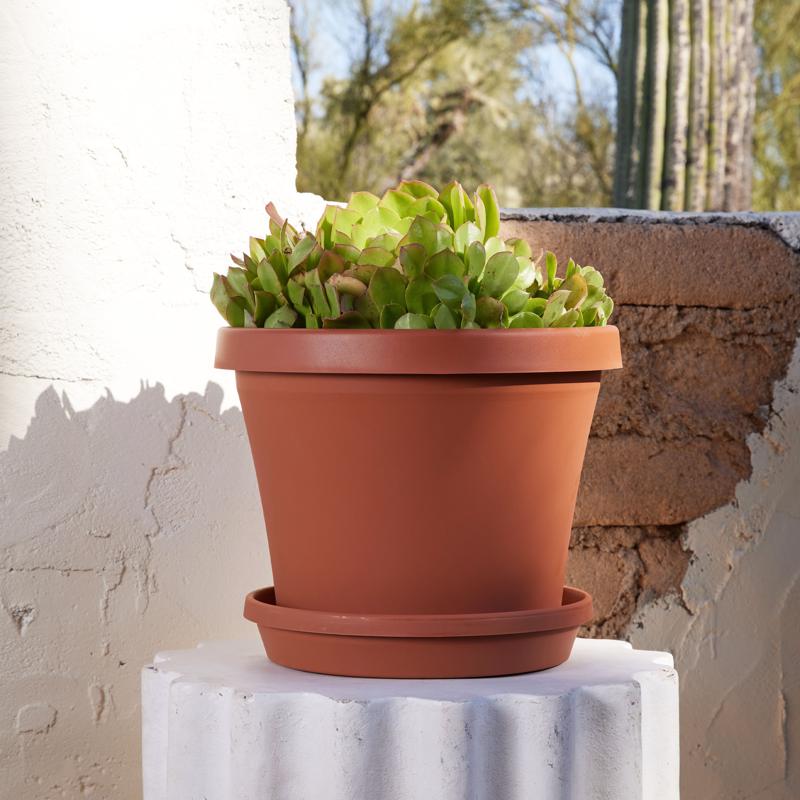 Bloem Terra 12.75 in. H X 10.25 in. W X 15 in. D Resin Traditional Planter Terra Cotta