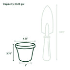 Bloem Terra 3.75 in. H X 4.25 in. W Resin Traditional Planter Terra Cotta