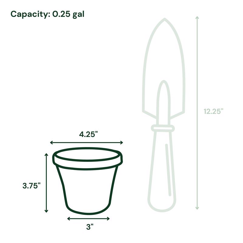 Bloem Terra 3.75 in. H X 4.25 in. W Resin Traditional Planter Terra Cotta