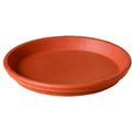 Deroma 6 in. D Clay Traditional Plant Saucer Terracotta - Case of 20