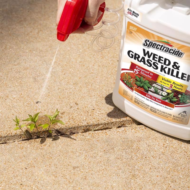 Spectracide Weed and Grass Killer RTU Liquid 1 gal - Case of 4