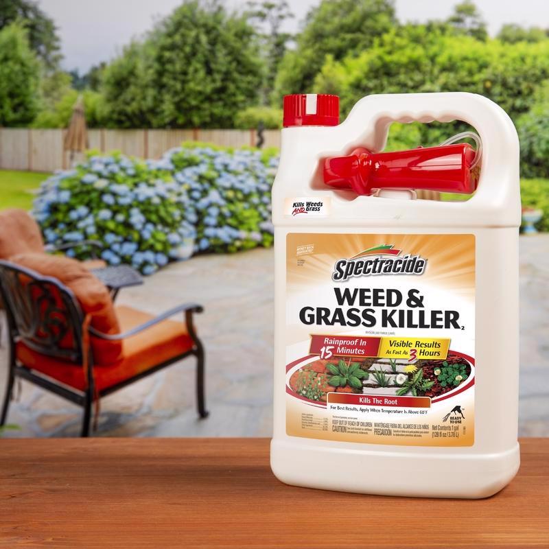 Spectracide Weed and Grass Killer RTU Liquid 1 gal - Case of 4