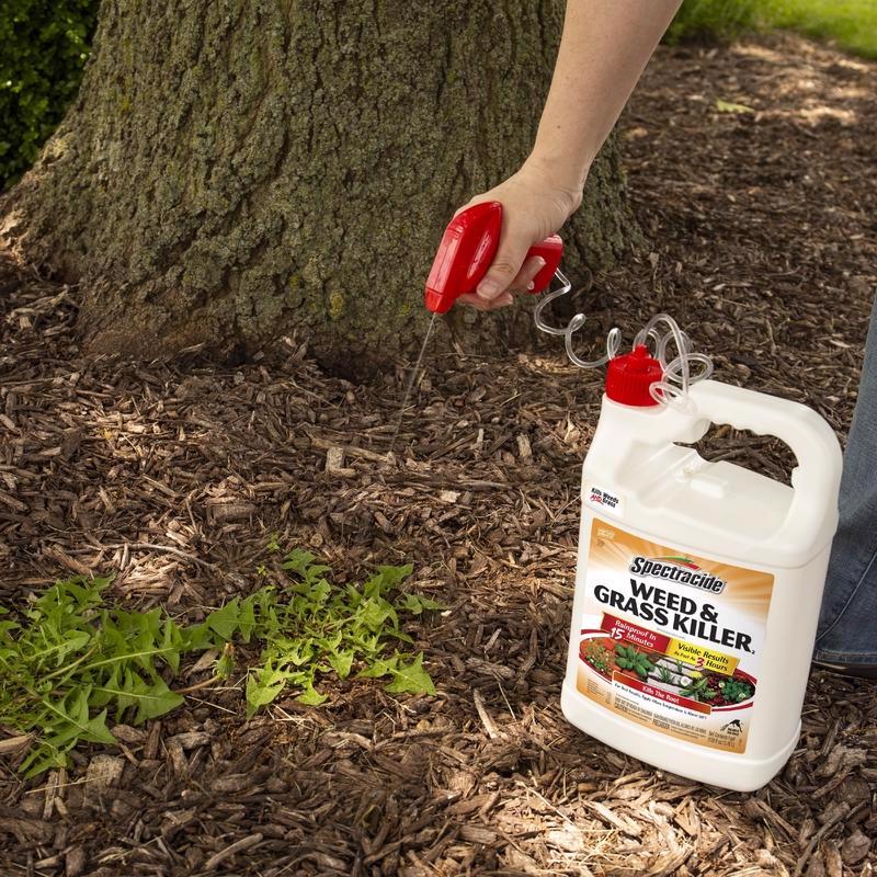Spectracide Weed and Grass Killer RTU Liquid 1 gal - Case of 4