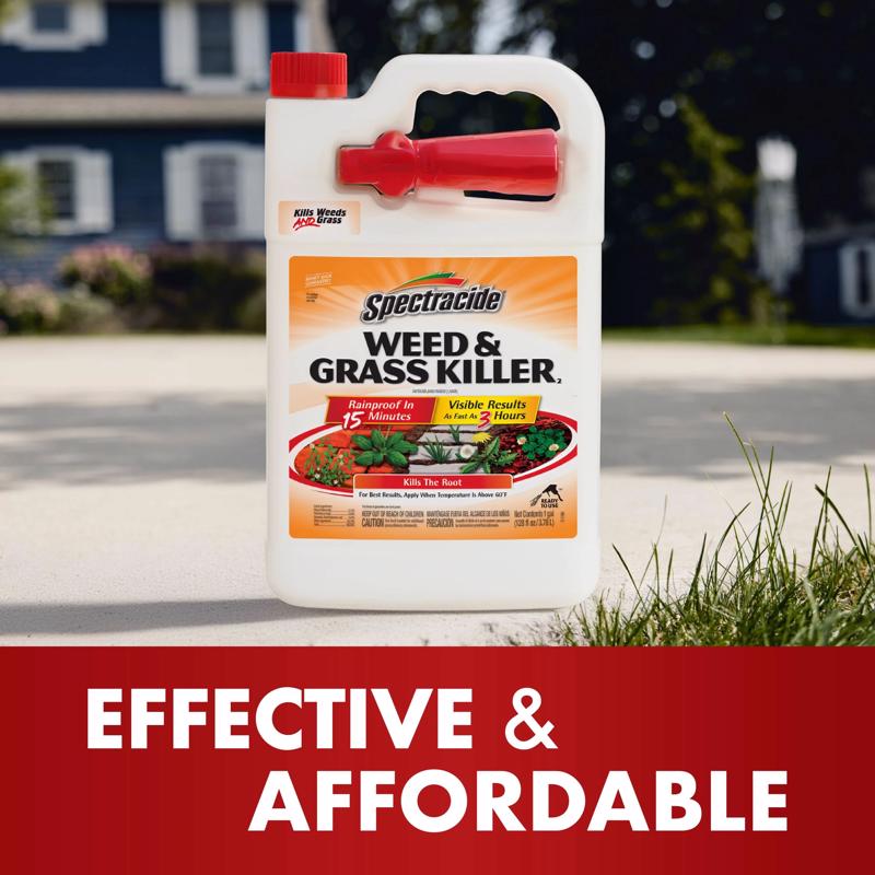 Spectracide Weed and Grass Killer RTU Liquid 1 gal - Case of 4